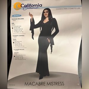 Morticia Addams Costume Dress